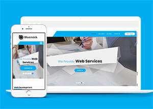 移动应用开发公司网站模板下载 发卡网创- 首码创想网创资源