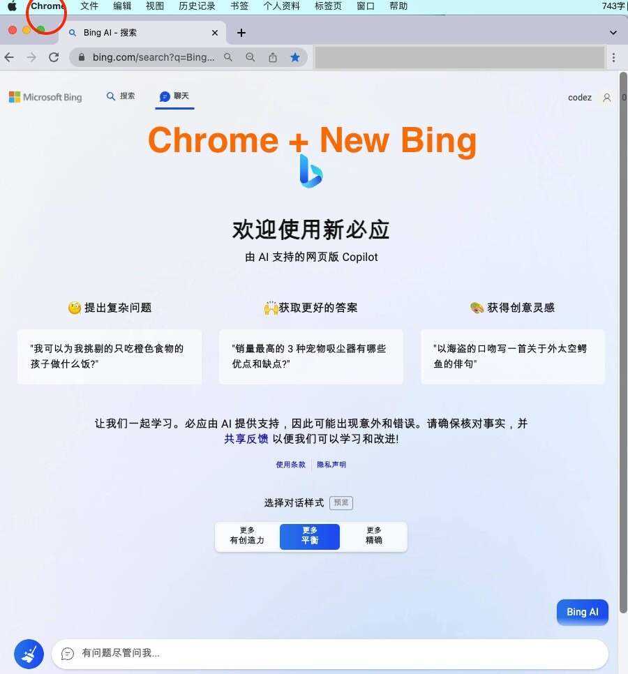 微软New Bing完美聊天机器人源码，支持ChatGPT提示词 国内可用，基本兼容微软 Bing AI 所有功能 发卡网创- 首码创想网创资源