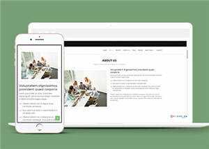 网页设计优化机构响应式网页模板 发卡网创- 首码创想网创资源