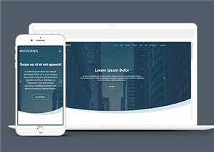 企业业务案例展示响应式网页模板下载 发卡网创- 首码创想网创资源