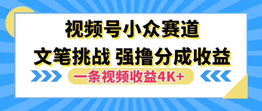 视频号小众赛道，文笔挑战，一条视频收益4K+ 发卡网创- 首码创想网创资源