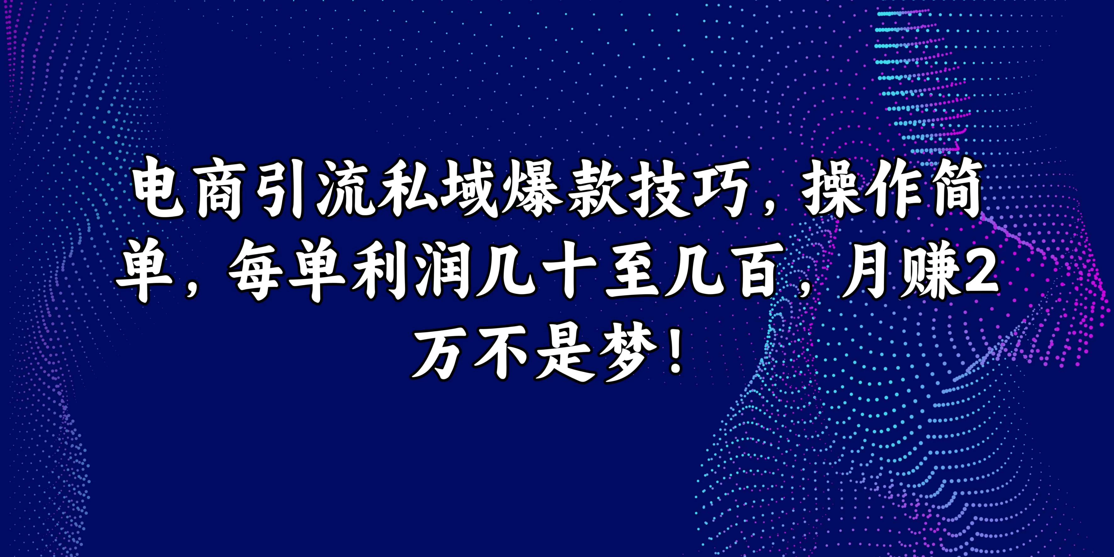 电商引流私域爆款技巧，操作简单，每单利润几十至几百，月赚2万不是梦！ 发卡网创- 首码创想网创资源
