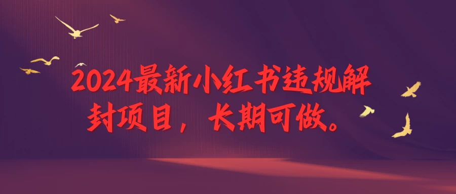 2024最新小红书违规解封项目，一个可以做到退休的项目 发卡网创- 首码创想网创资源
