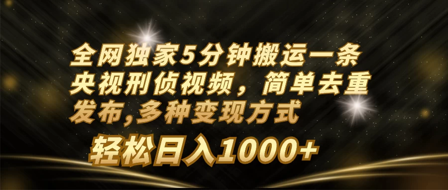 全网独家5分钟搬运一条央视刑侦视频，简单去重发布，多种变现方式，轻松日入1000+ 发卡网创- 首码创想网创资源