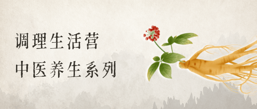 调理生活营：中医养生系列 发卡网创- 首码创想网创资源