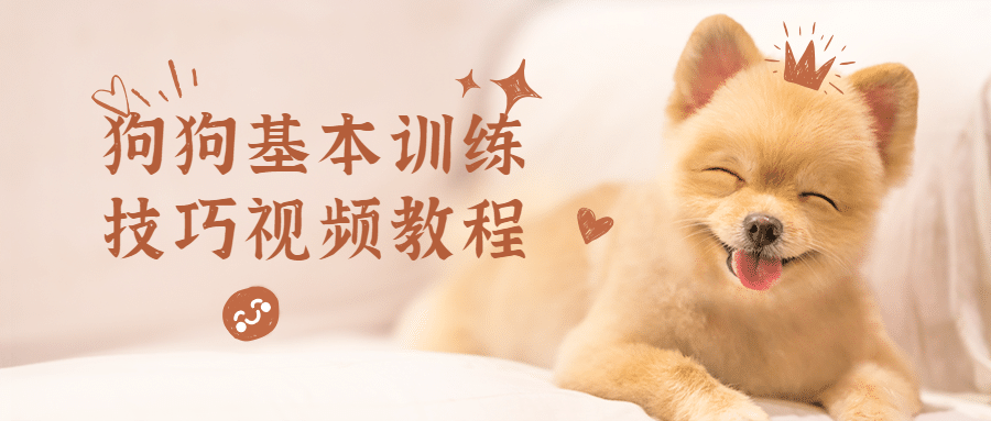 狗狗基本训练技巧视频教程 发卡网创- 首码创想网创资源