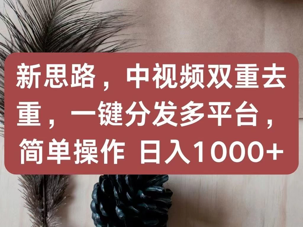 新思路，中视频双重去重，一键分发多平台，简单操作，日入1000+！快来试试吧！ 发卡网创- 首码创想网创资源