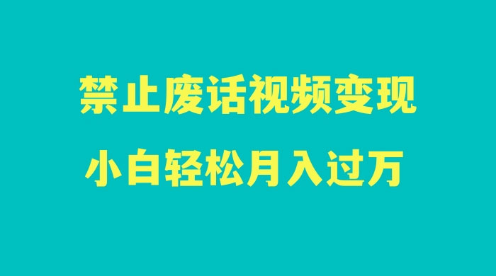 最新蓝海项目，靠禁止废话视频变现，一部手机，小白轻松月入过万！ 发卡网创- 首码创想网创资源