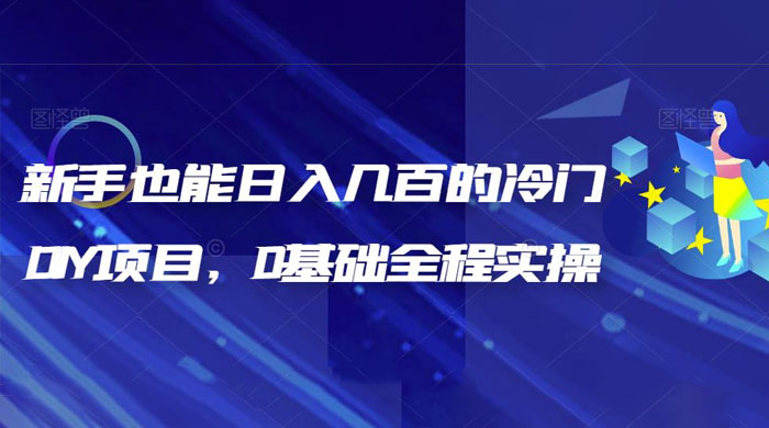 揭秘：新手也能日入几百的冷门 DIY 项目，0 基础全程实操 发卡网创- 首码创想网创资源