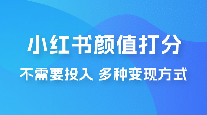 小红书颜值打分新玩法，不需要投入，适合所有人的一份副业，多种变现方式！ 发卡网创- 首码创想网创资源