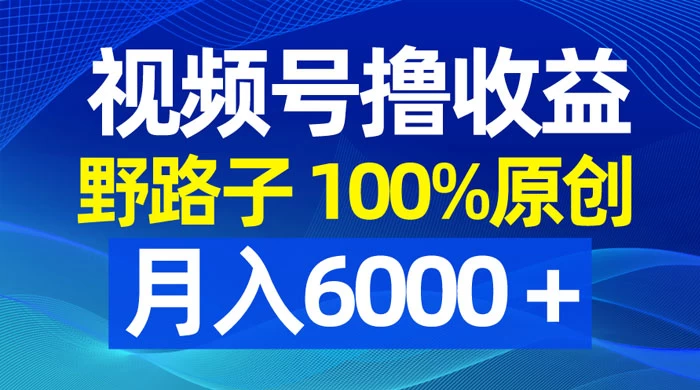视频号野路子撸收益，100% 原创，条条爆款，月入 6000+ 发卡网创- 首码创想网创资源