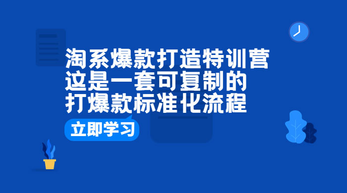 淘系爆款打造特训营：这是一套可复制的打爆款标准化流程 发卡网创- 首码创想网创资源