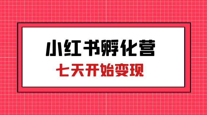 价值 2000+ 的小红书孵化营项目，超级大蓝海，七天即可开始变现，稳定月入 1W+ 发卡网创- 首码创想网创资源