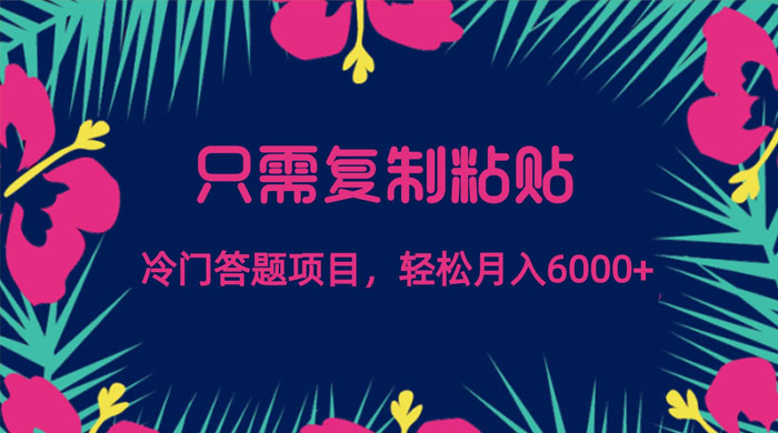 只需复制粘贴，冷门答题项目，轻松月入 6000 发卡网创- 首码创想网创资源