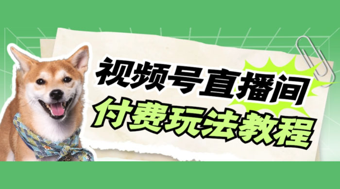 视频号美女付费无人直播，轻松日入500+（详细玩法教程） 发卡网创- 首码创想网创资源