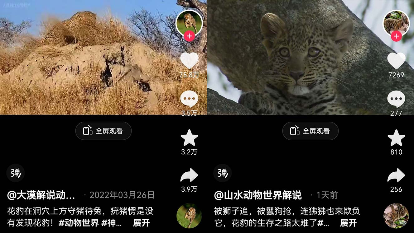 外面卖 1699 的国外纪录片解说：动物、美食、动画片解说，稳过中视频 发卡网创- 首码创想网创资源