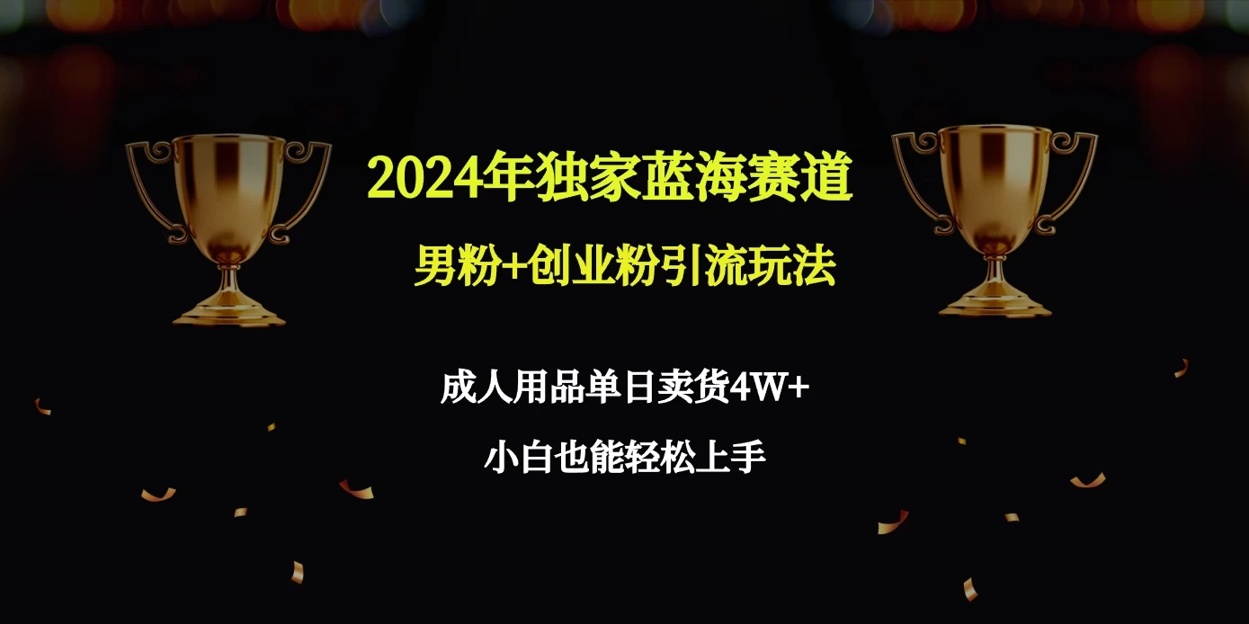 2024独家蓝海赛道，男粉＋创业粉引流玩法。 发卡网创- 首码创想网创资源